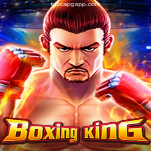 Exploring the Intricacies of BoxingKing: A Comprehensive Guide